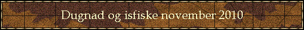 Dugnad og isfiske november 2010