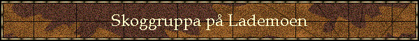 Skoggruppa p� Lademoen