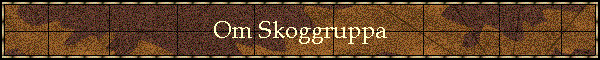 Om Skoggruppa