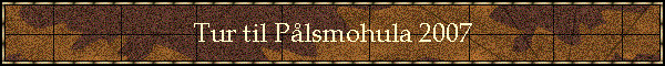 Tur til P�lsmohula 2007
